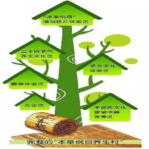 李时珍医药集团： 打造中医药文化体验式营销 